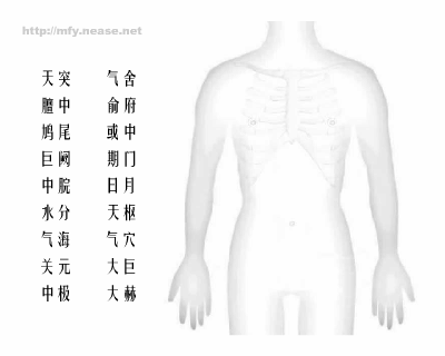 下肢穴位图
